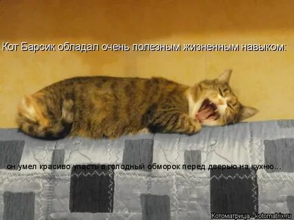 Досадовать