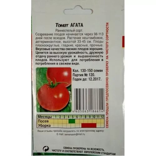 Томат Агата: характеристика и описание сорта, фото, отзывы