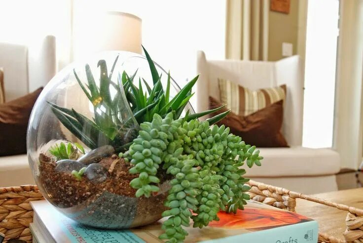 Подставки для цветов своими руками: идеи и мастер-классы Indoor plants, Indoor w