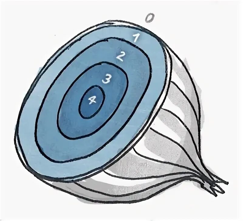 Onion models. Onion models