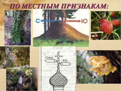 5 признаков местности