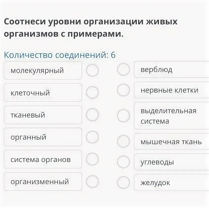 Соотнести уровни организации