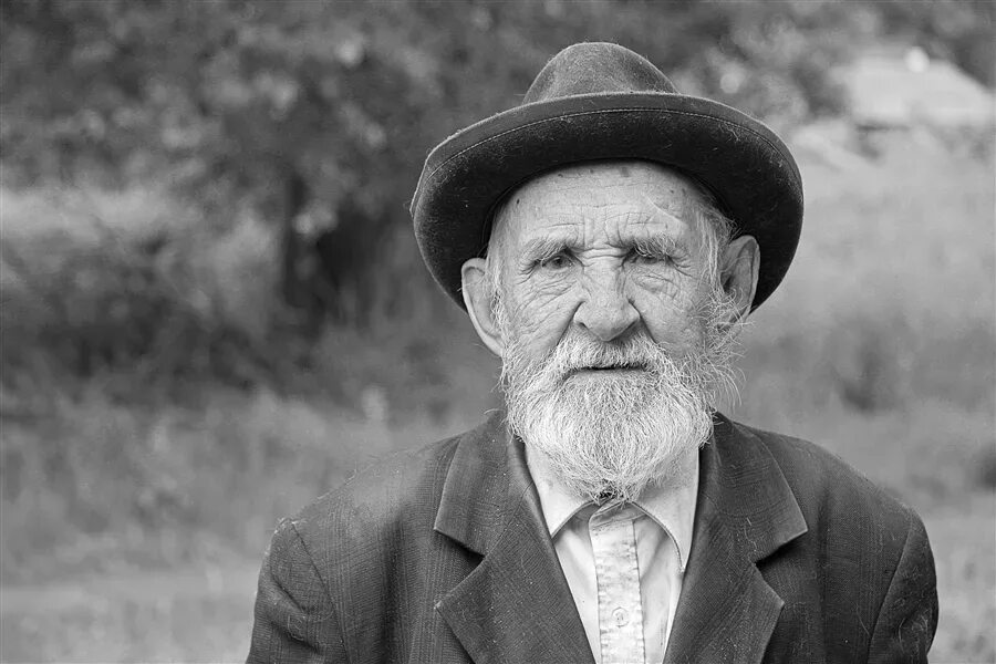 Сибиряки. На деревню к дедушке. Старожил и сторожил. Старожил это кто. Деревенский старожил сад колхозный сторожил.