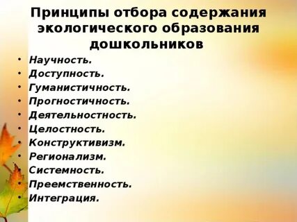 Принципы отбора содержания программы