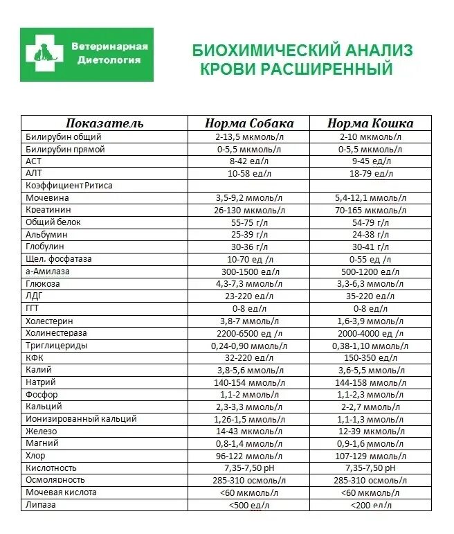 Какой биохимический анализ крови сдать. Биохимия крови человека показатели. Нормы результатов анализов крови на биохимию. Развернутый биохимический анализ крови показатели. Какие показатели крови в биохимическом анализе крови.