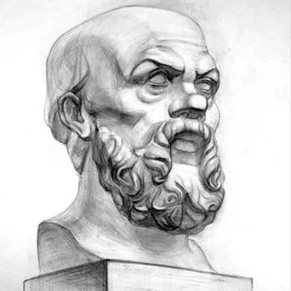 Голова сократа
