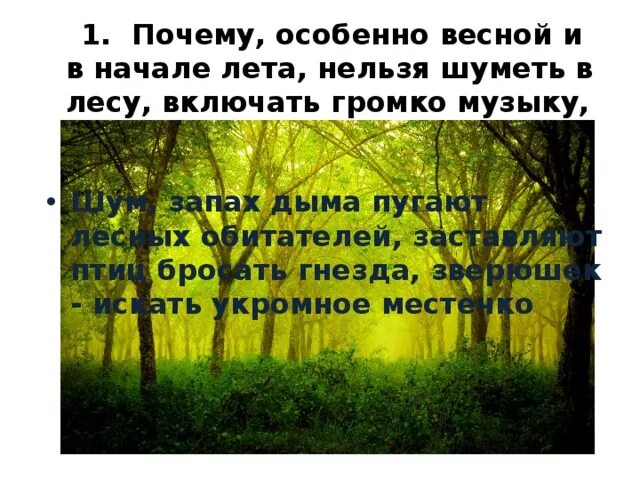 Почему нельзя громко. Нельзя шуметь в лесу. Почему нельзя шуметь в лесу. Почему весной нельзя шуметь в лесу. Почему весной и в начале лета нельзя шуметь в лесу.