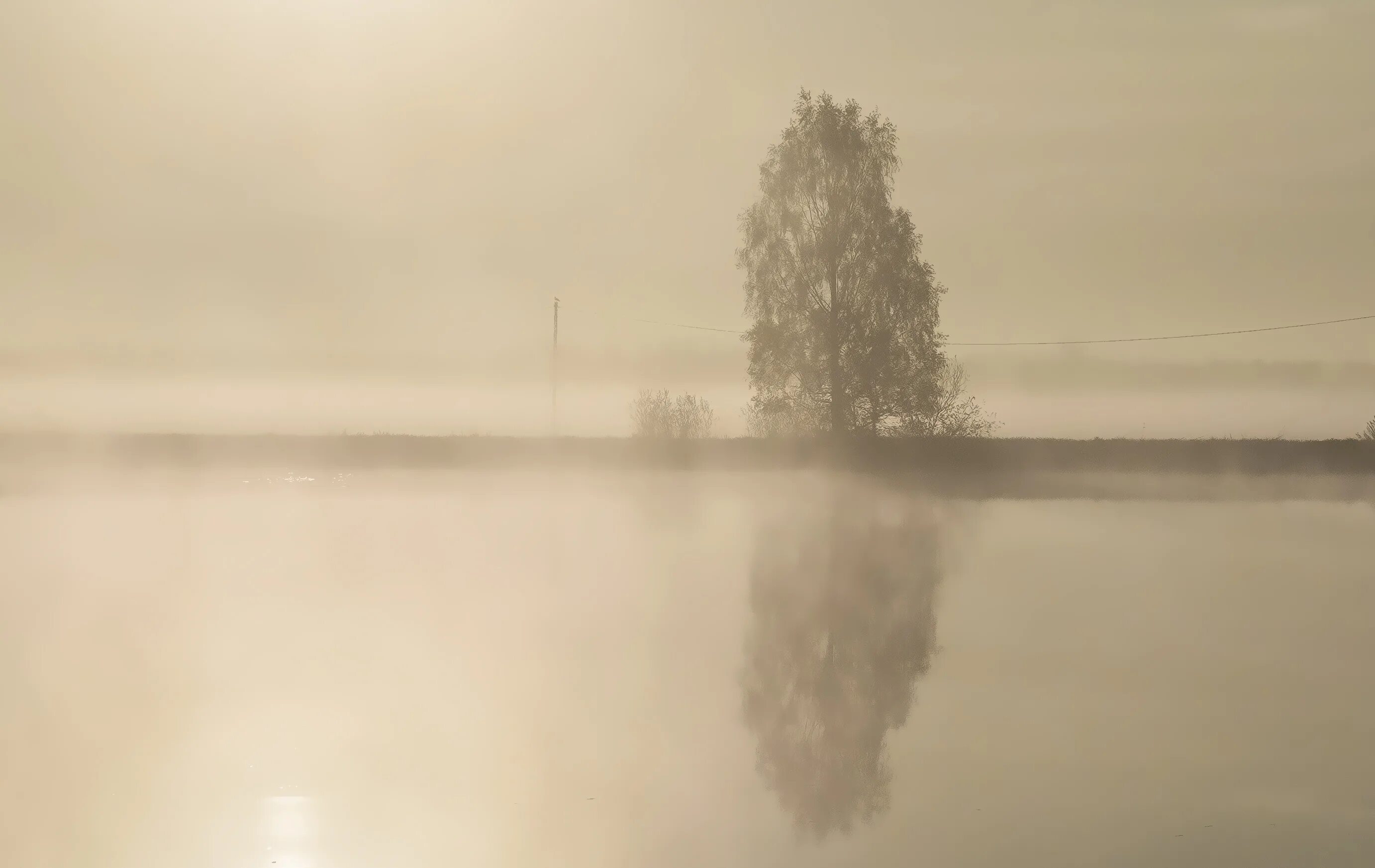Блистающая мгла. Мгла стивен кинг. Mist стивен кинг. Природные явления туман. Блистающая мгла.