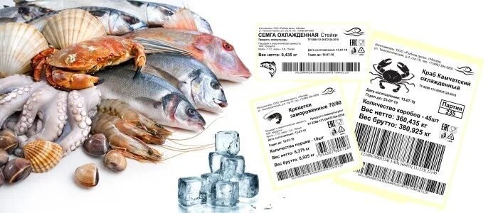 Этикетка для рыбной продукции. Маркировка рыбы. Замороженная рыба с этикеткой. Маркировка рыбной продукции.