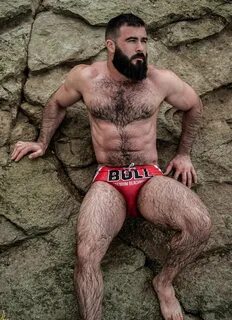 Hairy Men, Bearded Men, Gym Images, Human Oddities, Hot Dads, Love Bear, Be...