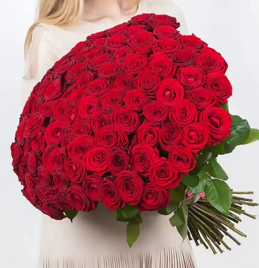 Розы красные (60 см) (101). Букет красных роз 101шт / 50см.