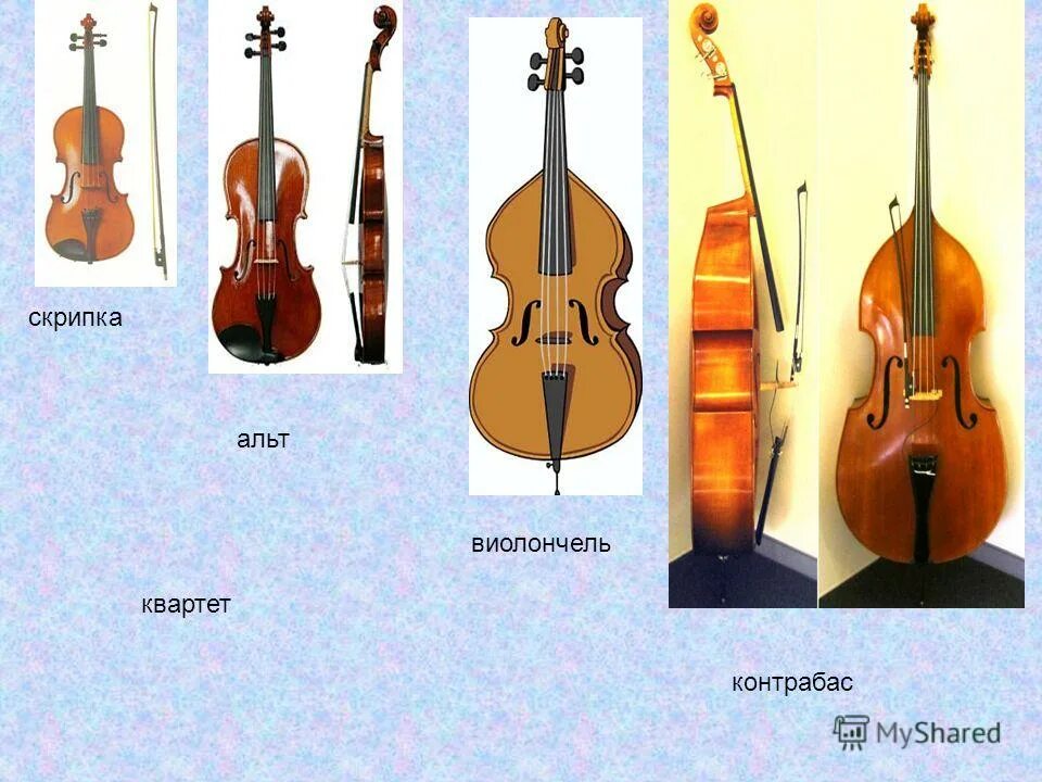 Виолончель контрабас октобас. Большая скрипка как называется музыкальный. Виолоне музыкальный инструмент. Октобас струнно-смычковый. Вагнер октобас.