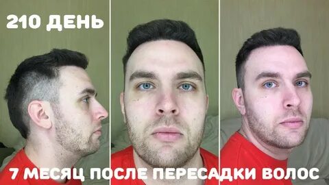 210 суток