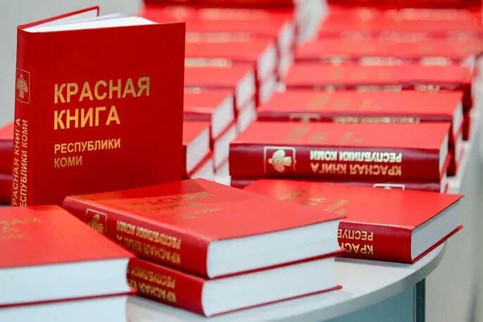 Красная книга республики коми книга. Plato the republic книга. Book republic. Plato the republic книга. Первая красная книга республики коми.
