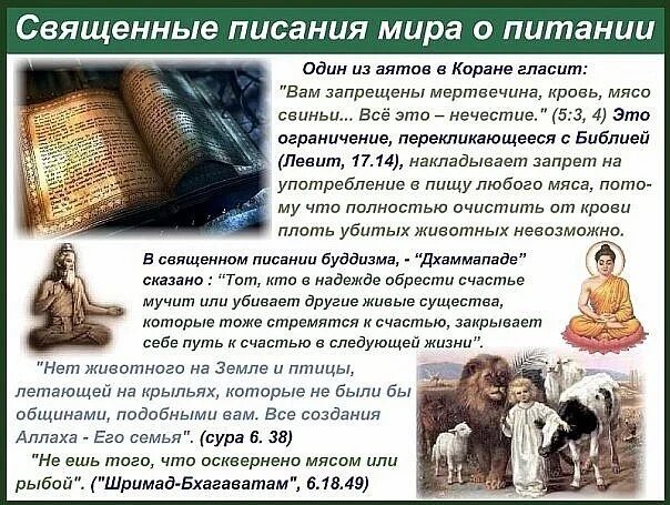 Православным можно есть свинину по библии
