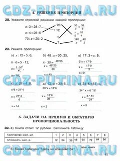 Укажите правильные пропорции