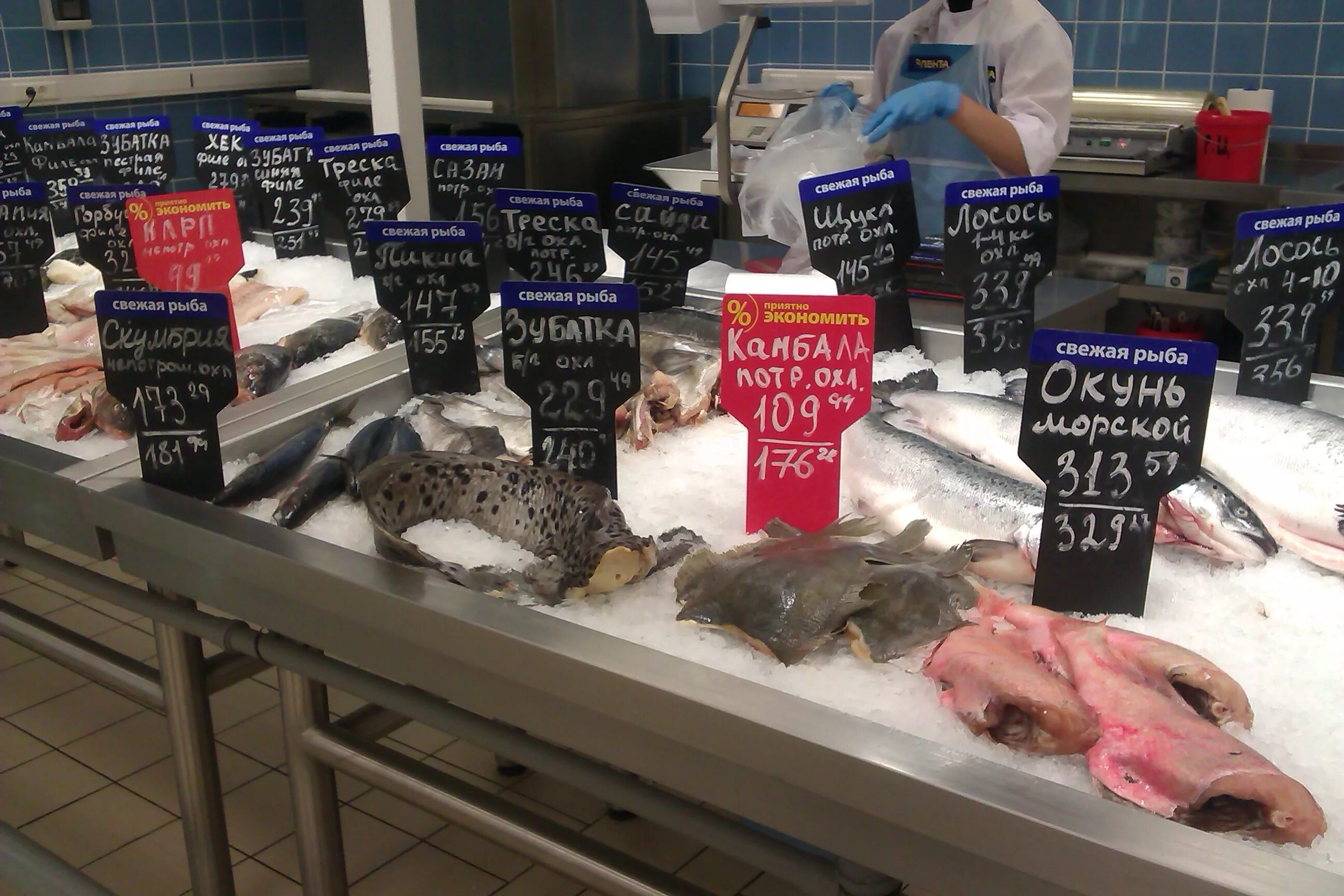 Таганрог рыбный рынок. Рыбный день Иваново магазин. Прикол рыбный магазин. Рыба в Таганроге на рынке.