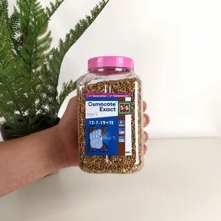 Какой осмокот для комнатных растений