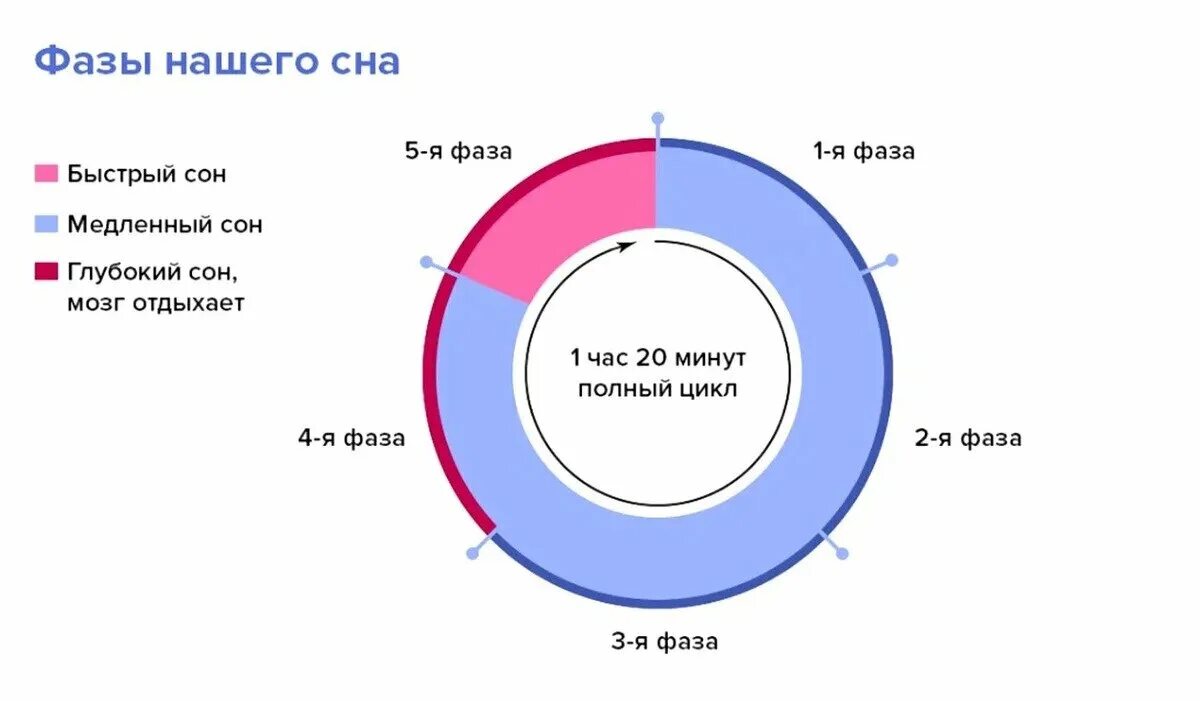 Какое минимальное время может пройти от фазы. Фазы сна схема. 1 фаза сна длительность. схема цикла сна. 3 фазы сна человека.