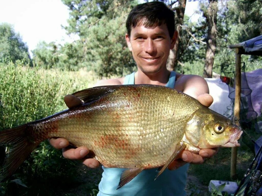 Рыбалка на истре фото YugNash.ru
