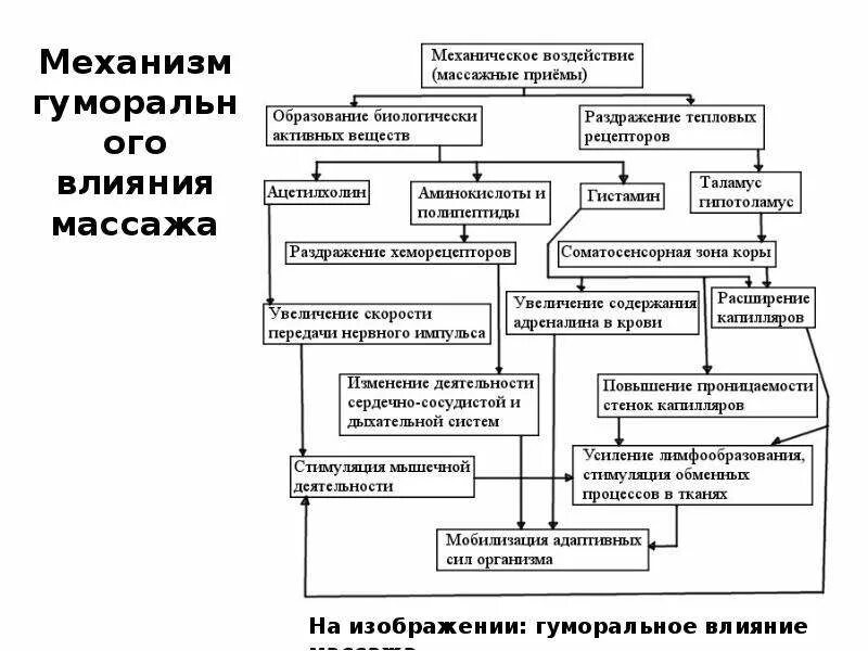 Общие основы массажа - презентация онлайн