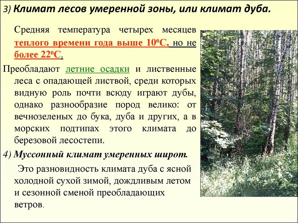 Какой климат в зоне широколиственных лесов. Осадки в лиственных лесах. Климат лиственных лесов. Климат Лесной зоны. Климатические условия леса.