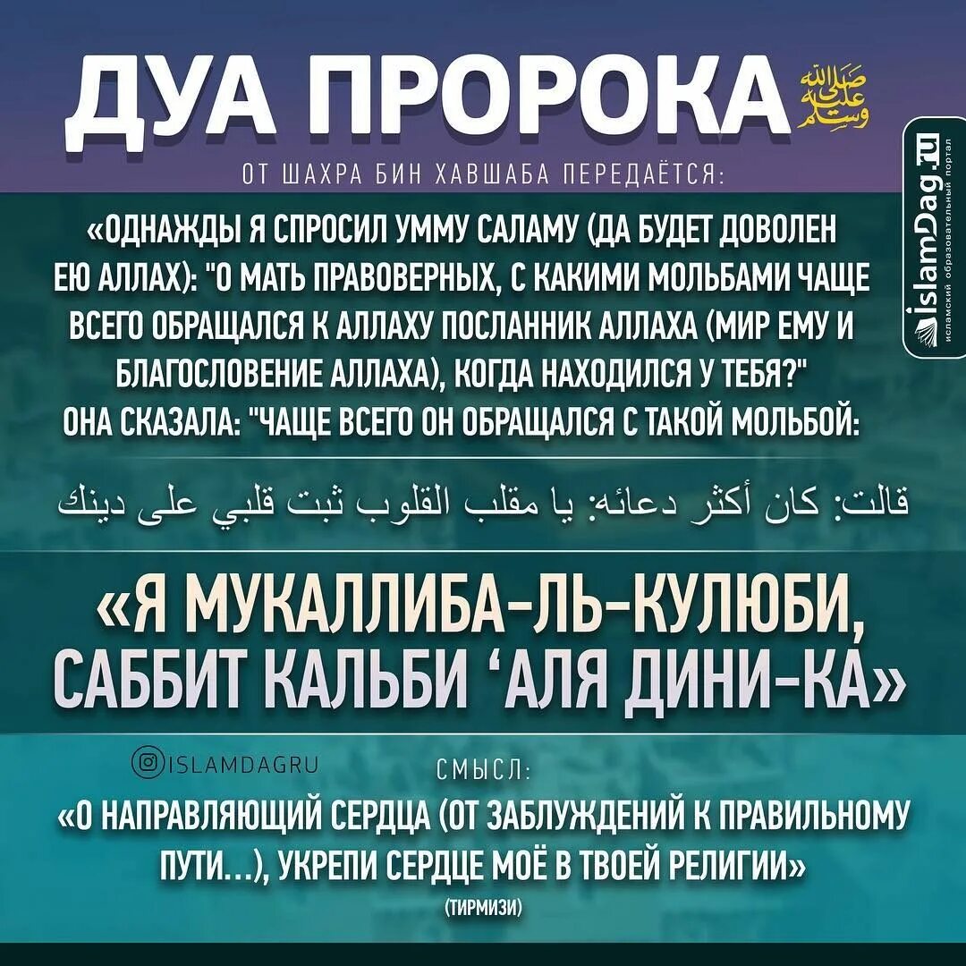 Что такое умма в исламе