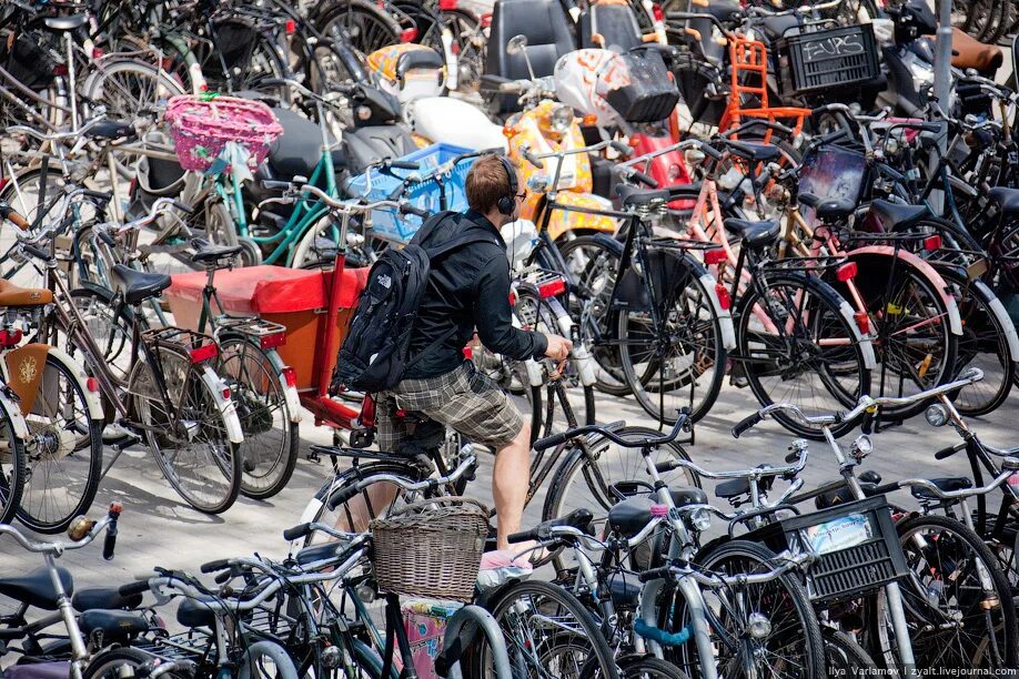 Где можно взять велосипед. Амстердам велосипедная столица. Амстердам велодорожки. Амстердам велосипеды. Велосипеды в Голландии.