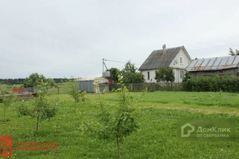 Погода деревня александровка тверская область. Александровка ленинградская область.