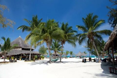 Tropicana kendwa 3