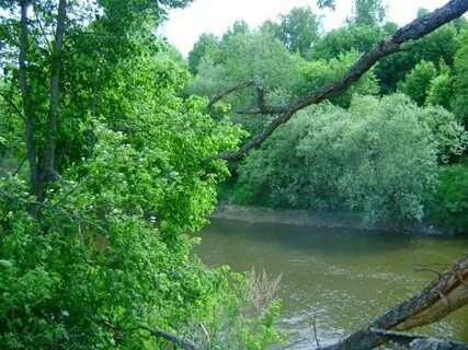 Погода в кулебаки нижегородской