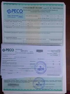 Страховка казахстан