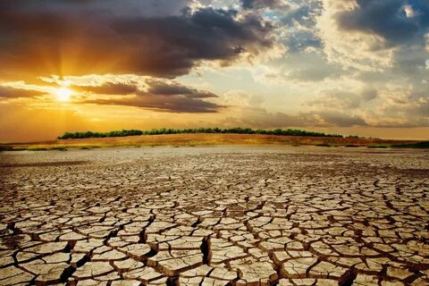Drought caused