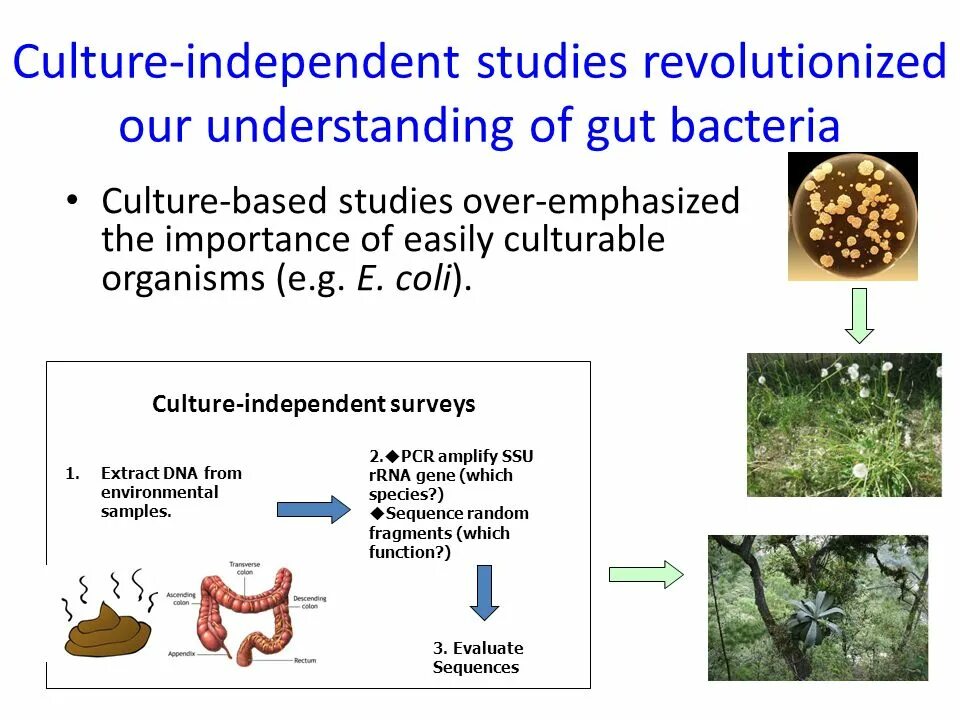 Metagenomics feature extraction. Valencia white. Metagenomics in r. Base culture. Дизайн бизнес книги.