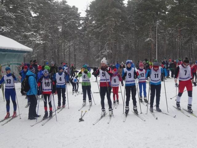 кемерово лыжные гонки. скимаг лыжные. скимаг кемерово электронный хронометраж соревнований. амонг лыжи. скимаг лыжные.