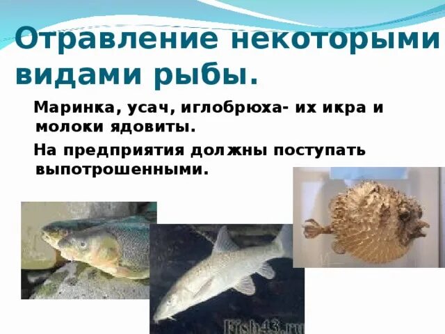Можно ли отравиться икрой симптомы