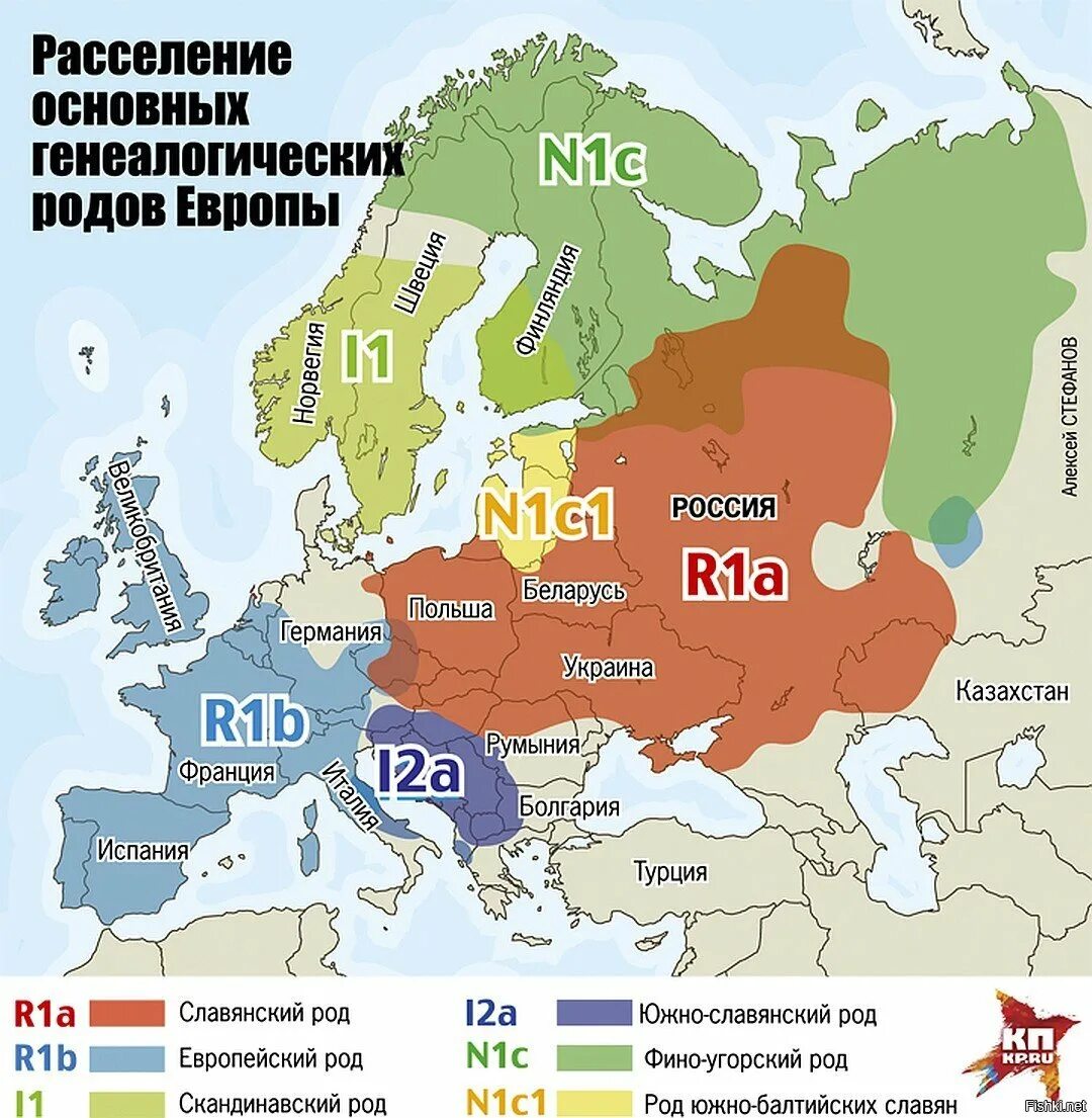 Народ на территории европы. Генетика славян r1a1 на карте европы. расселение гаплогруппы r1a в европе карта. гаплогруппа славян. карта расселения русских в европе.
