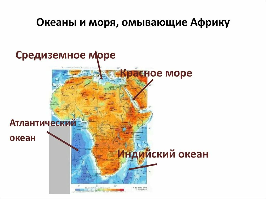 2 океана в африке. Какими морями и Океанами омывается Африка. Океаны омывающие Африку на карте Африки. Моря омывающие Африку. Моря и океаны омывающие Африку.