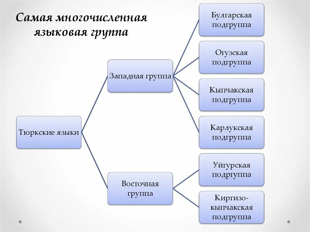 Какие группы алтайской семьи. Булгарская группа тюркских языков. Алтайская семья языков Древо. Кыпчакская группа языков. Классификация тюркских языков.