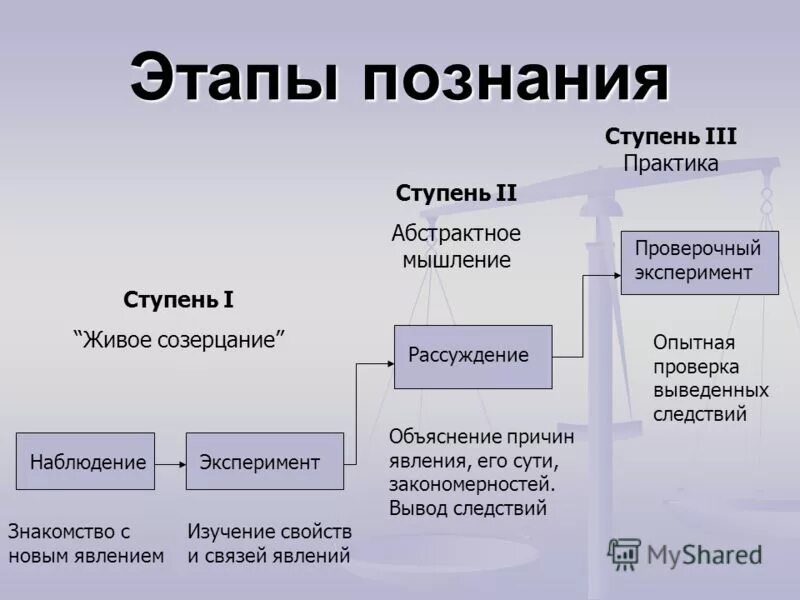 Этапы процесса познания. Основные этапы познания. Стадии процесса познания.