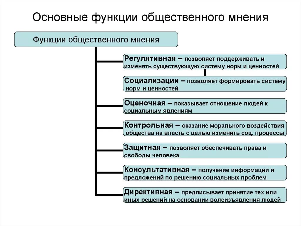 Какую функцию выполняет общественное мнение