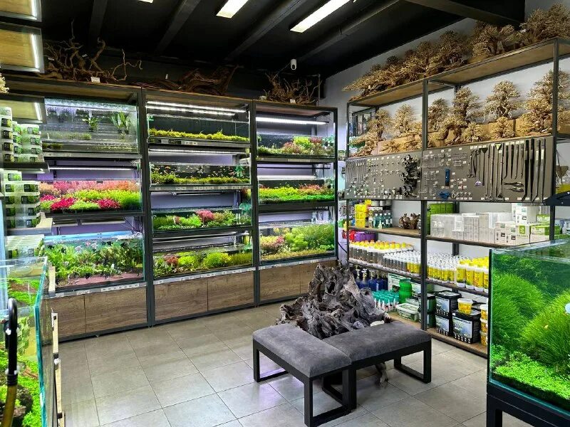 аквариумная студия маши блюм москва. маша блюм аквариумные растения. маша блюм магазин. студия маши блюм. маша блюм аквариумные растения.