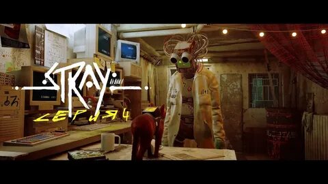 Стрей 4