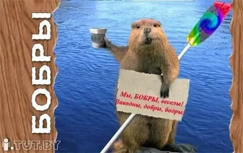 Включи бодрую