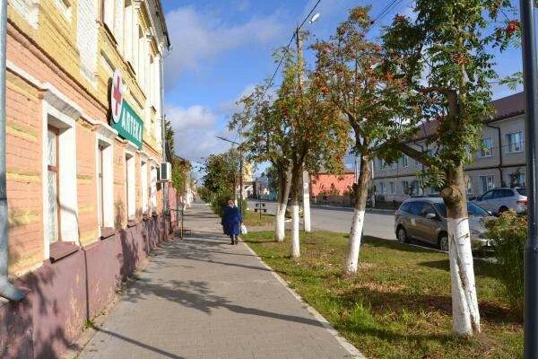 Одоев Тульская область. Погода в Одоеве. Одоев улица Первомайская Одоев фото. Одоев улица Первомайская дуб фото. Погода на неделю одоев тульской области