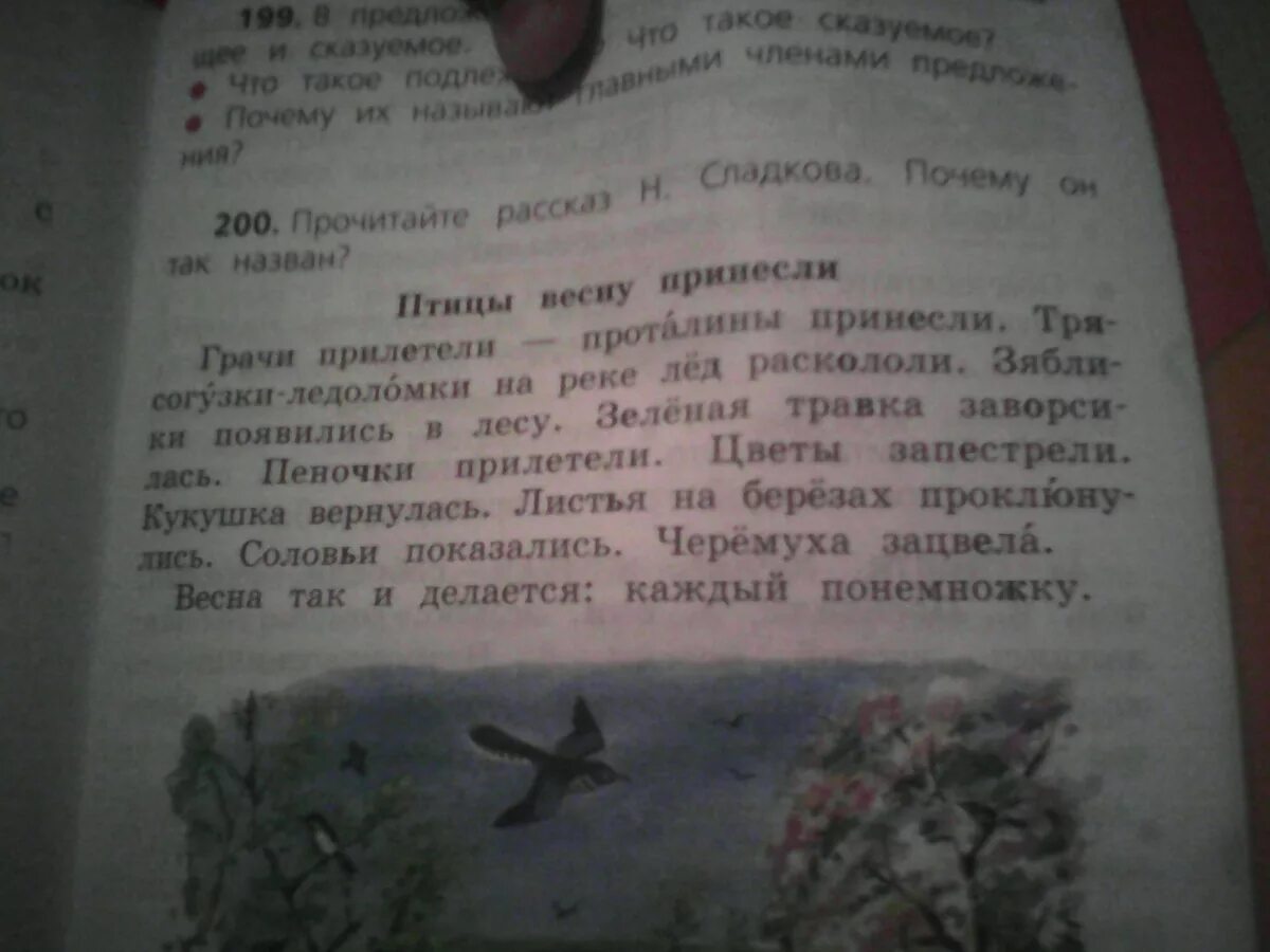 Грачи прилетели проталины принесли. Прочитайте рассказ н.Сладкова почему он так назван. Значение выражений травка заворсилась листья проклюнулись. Грачи прилетели-проталины принесли нераспространенное предложение. Травка разбор 1