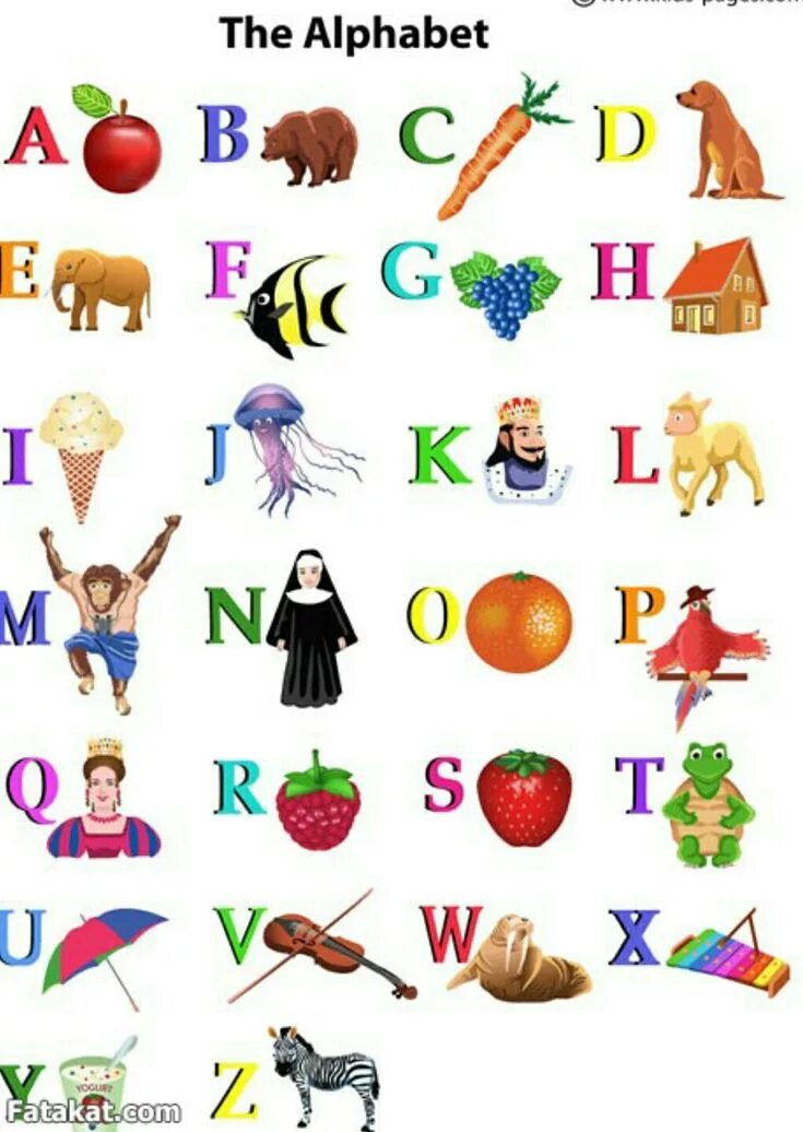 What is the of the alphabet. Alphabet. english alphabet. learn alphabet. alphabet cards.