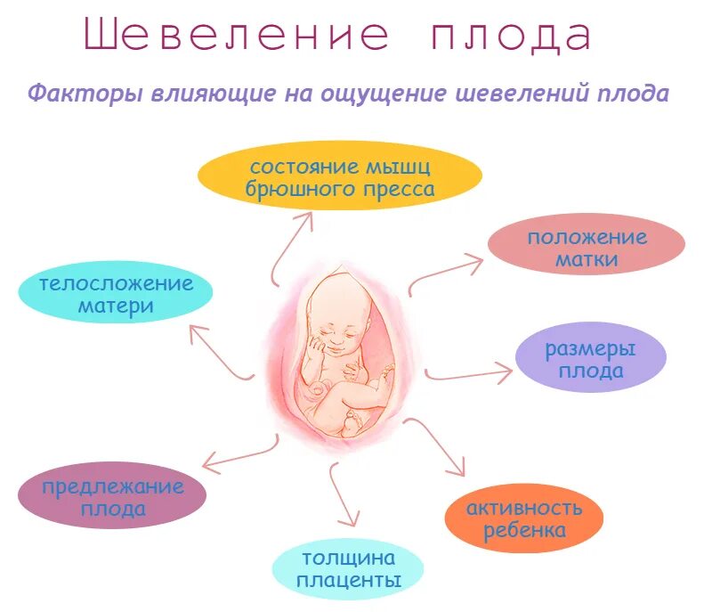 Первые шевеления ребенка. Во сколько недель начинает шевелиться ребенок. Ребенок на первой неделе беременности. Первое шевеление плода при первой беременности