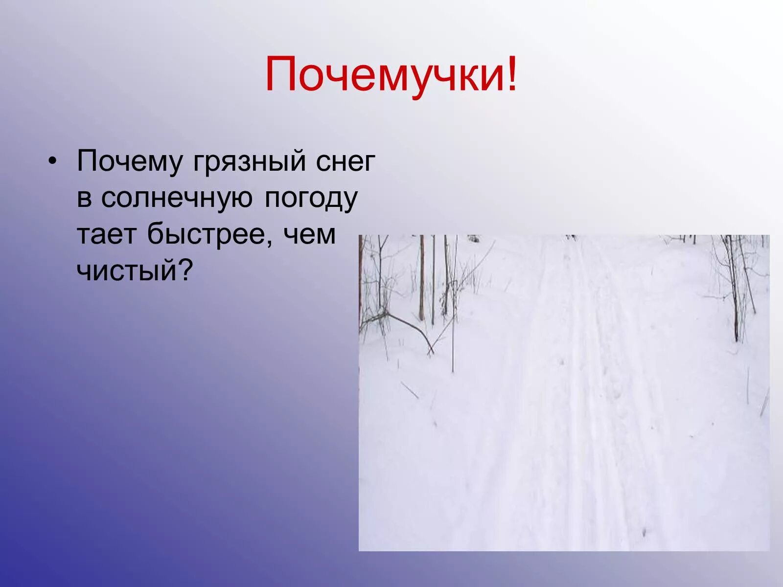 Почему без снега. Почему снег растаял. Почему тает снег. Почему снег грязный. Снег чистый и грязный.