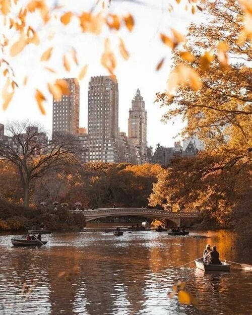 Central Park Autumn in new york, New york wallpaper, Central park